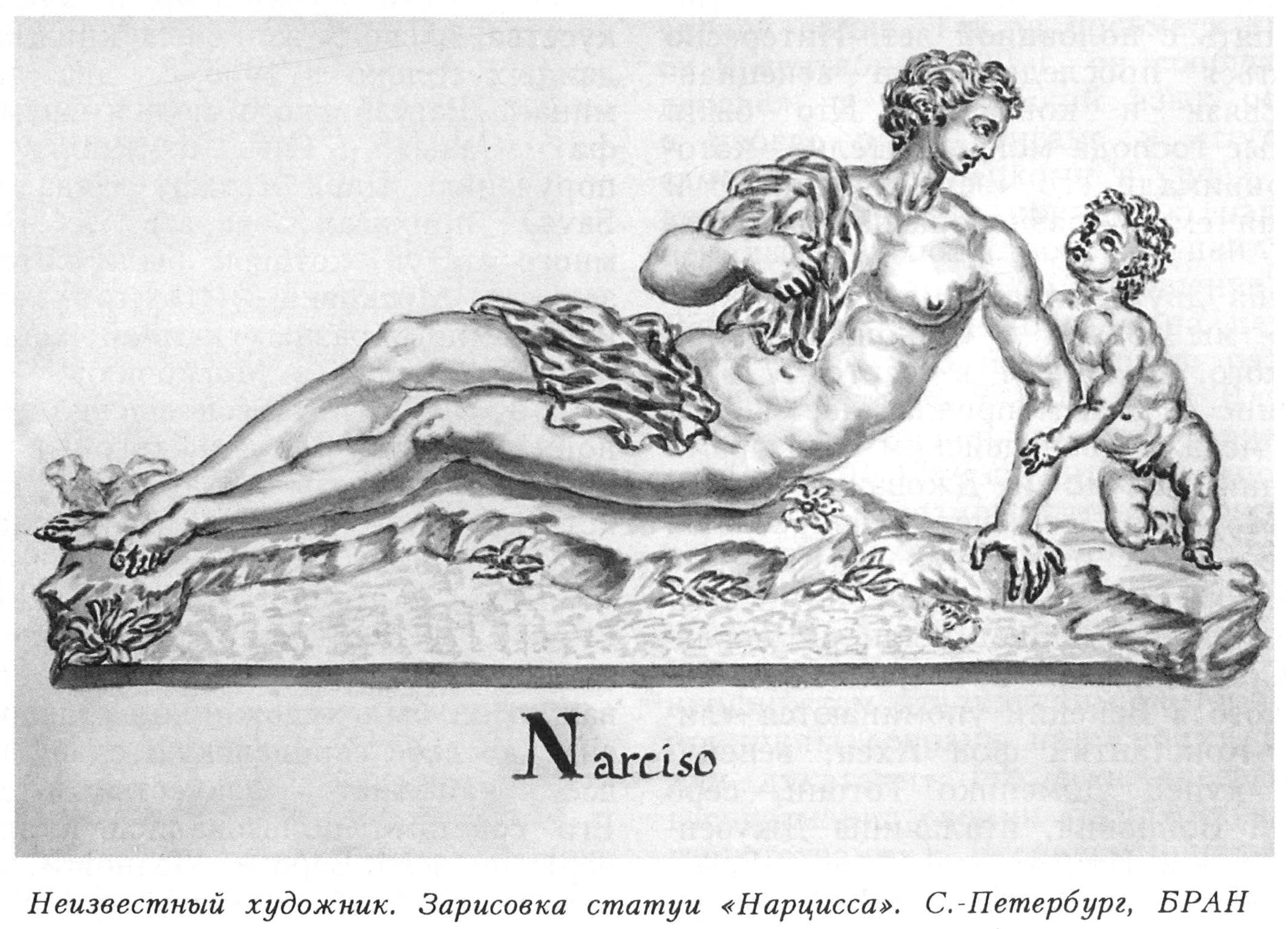 7. Нарцисс