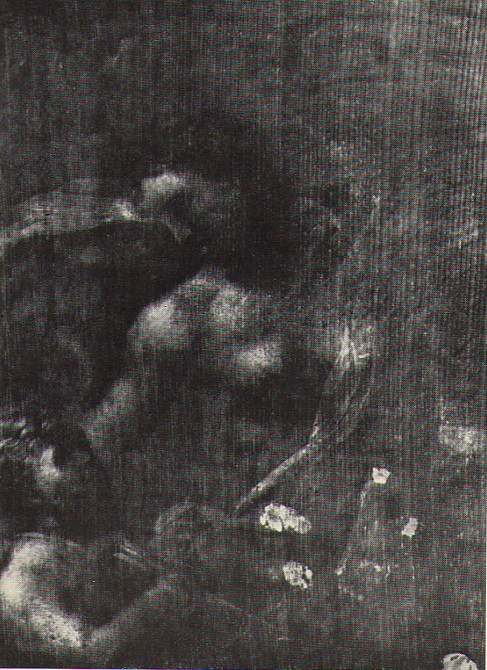 Рис. 38 Рентгенограмма доски в ГРМ